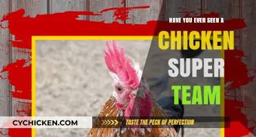 Cluck Dynasty: The Rise of the Chicken Super Team Phenomenon