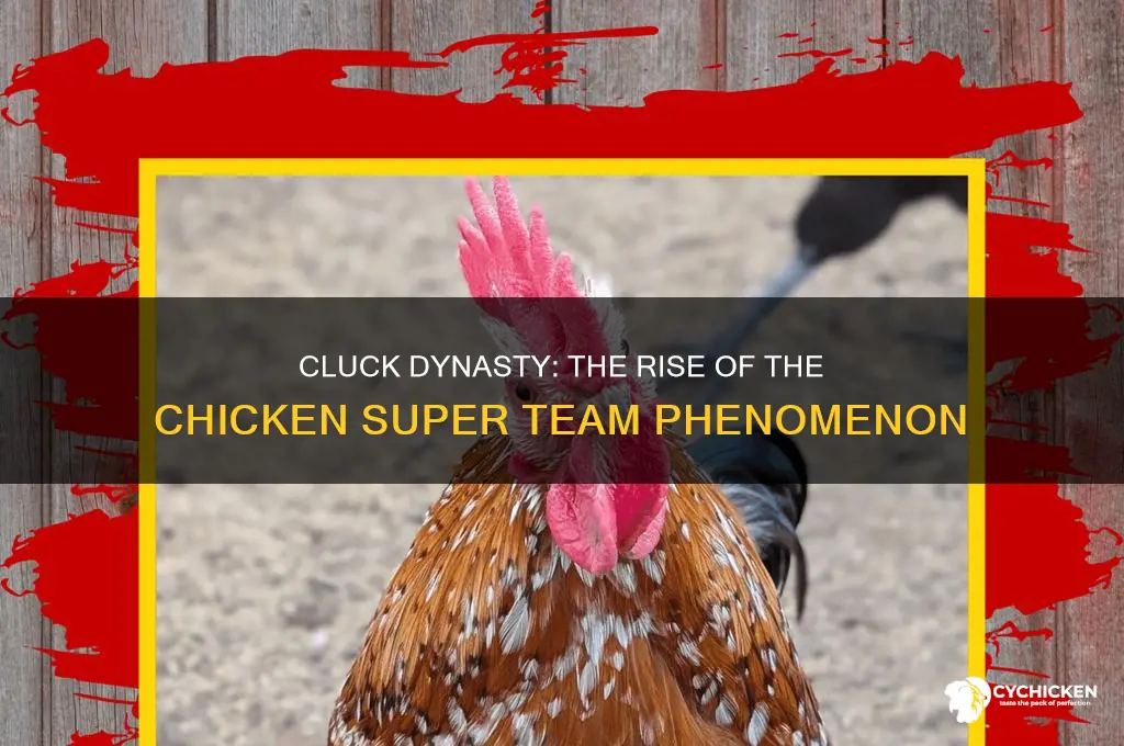 have you ever seen a chicken super team
