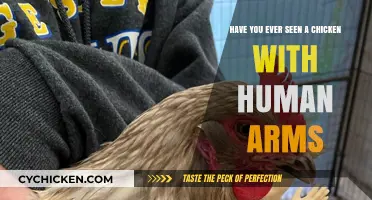 Spotted: Chickens With Human Arms