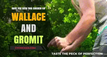 Chicken Run: Wallace and Gromit's GIF Guide