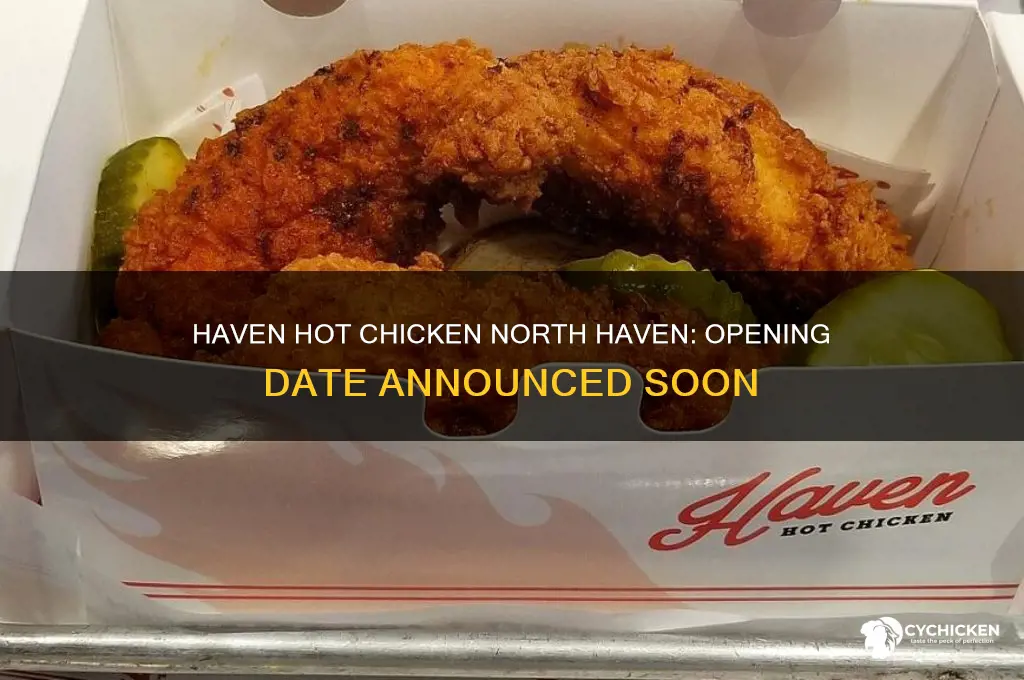 haven hot chicken north haven opening date