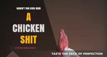 Haven't You Ever Seen a Chicken Poop? Let’s Talk!