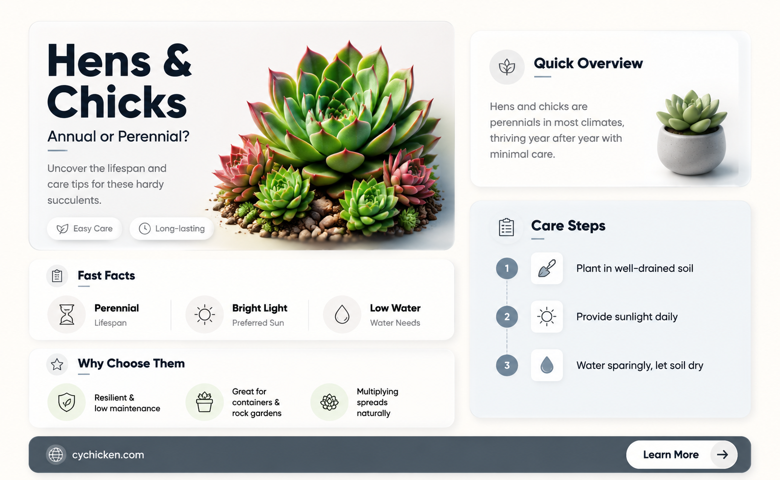 are hens and chicks annual or perennial