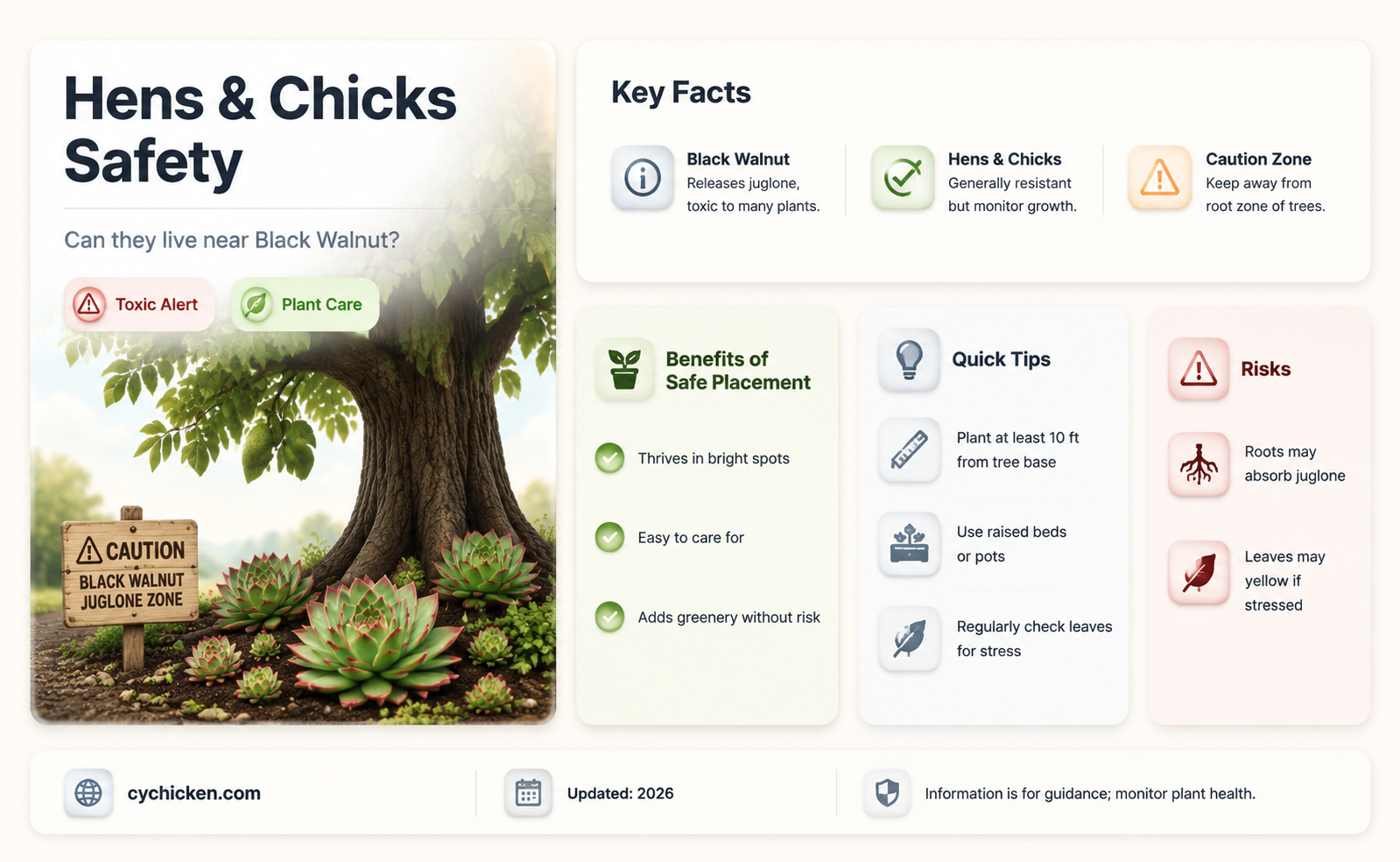 are hens & chickes compatible with black walnut