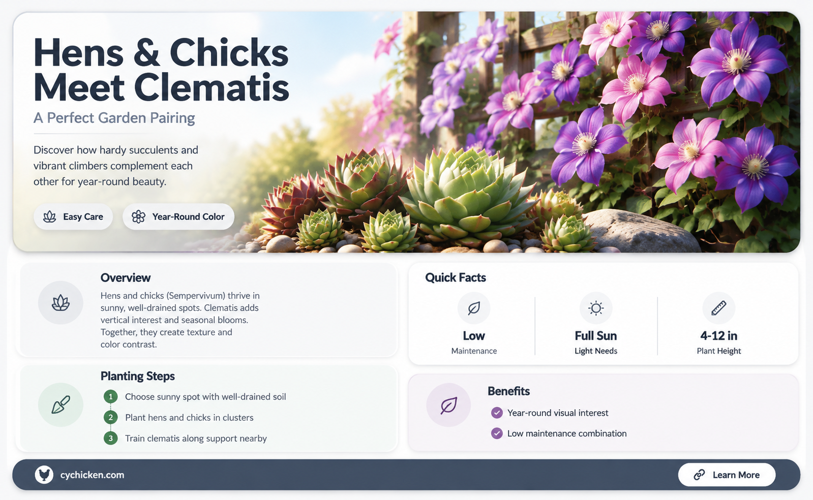 are hens and chicks and clematis compatible