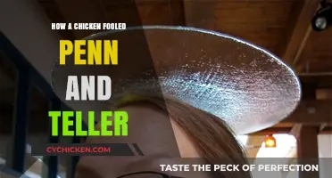 The Astonishing Trick: How a Chicken Outsmarted Penn & Teller