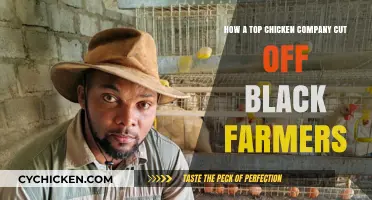 Chicken Giant's Dark Secret: Black Farmers Cut Off