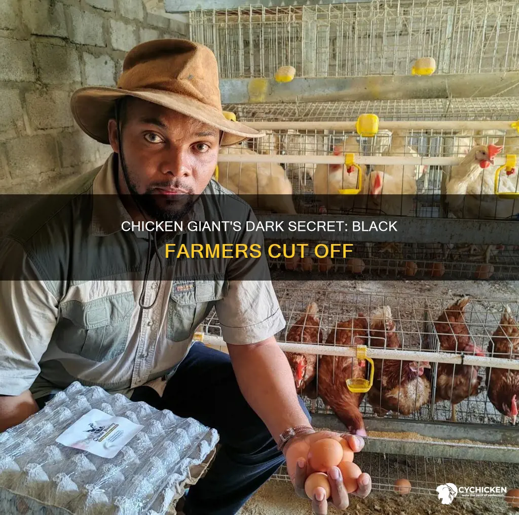 how a top chicken company cut off black farmers