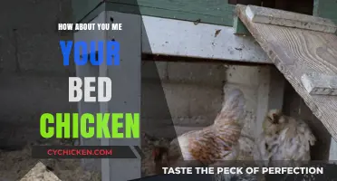 Your Bed, My Chicken: A Quirky Guide to Cozy Chaos