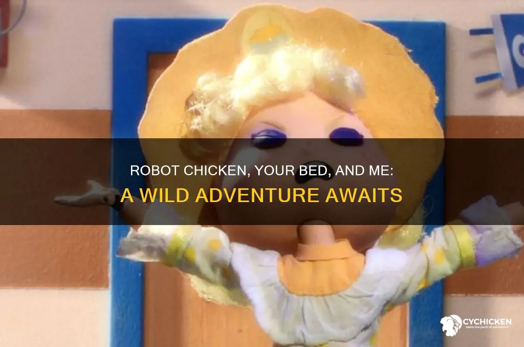 how about you me your bed robot chicken