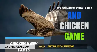 Acceleration Strategies in Hawk and Chicken Game Dynamics Explained