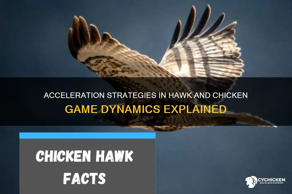 how acceleration applied to hawk and chicken game