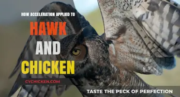 Acceleration in Nature: How Hawks and Chickens Utilize Speed Differently