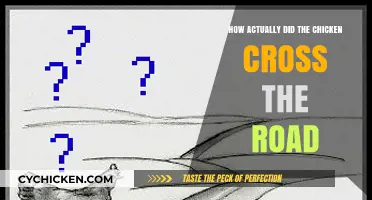 Why Did the Chicken Cross the Road? The Surprising Truth