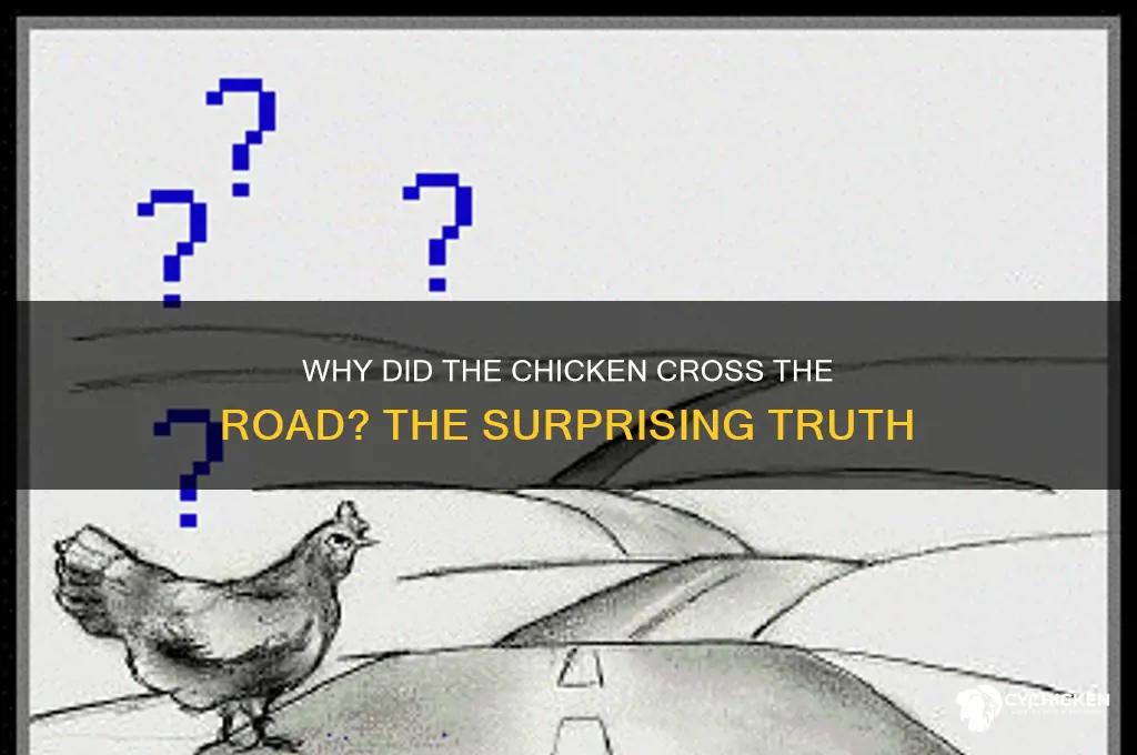 how actually did the chicken cross the road