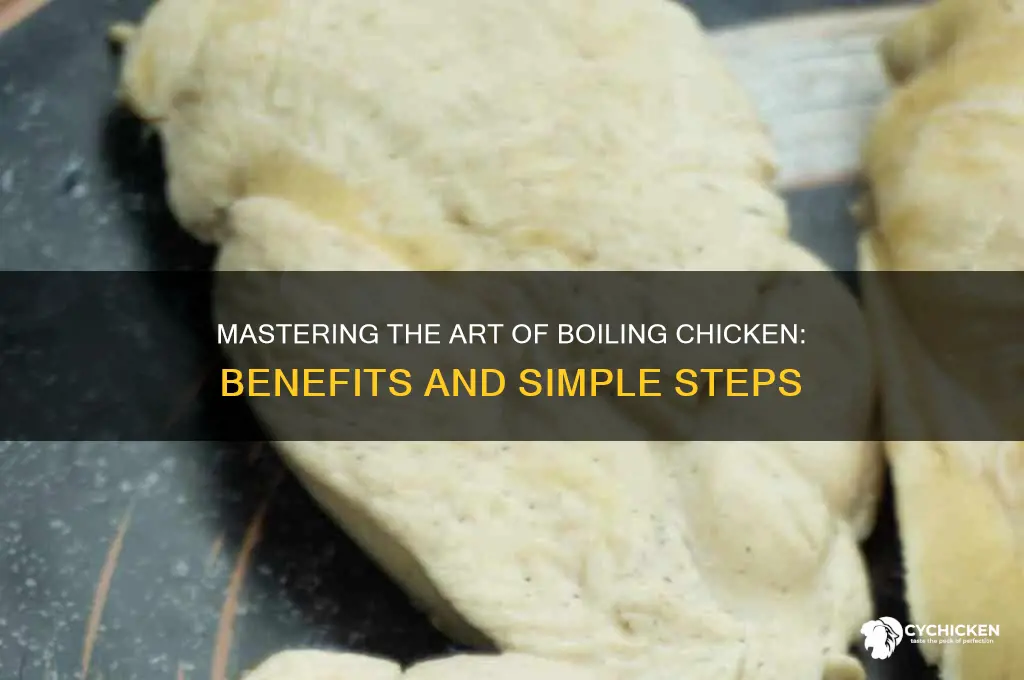 how and why to boil a chicken