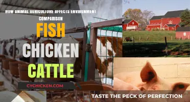 Animal Agriculture's Environmental Impact: Fish, Fowl, and Cattle