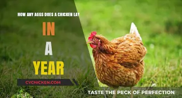 A Year of Chicken Eggs: How Many?
