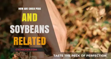 Chickpeas vs. Soybeans: Uncovering the Surprising Legume Family Connection
