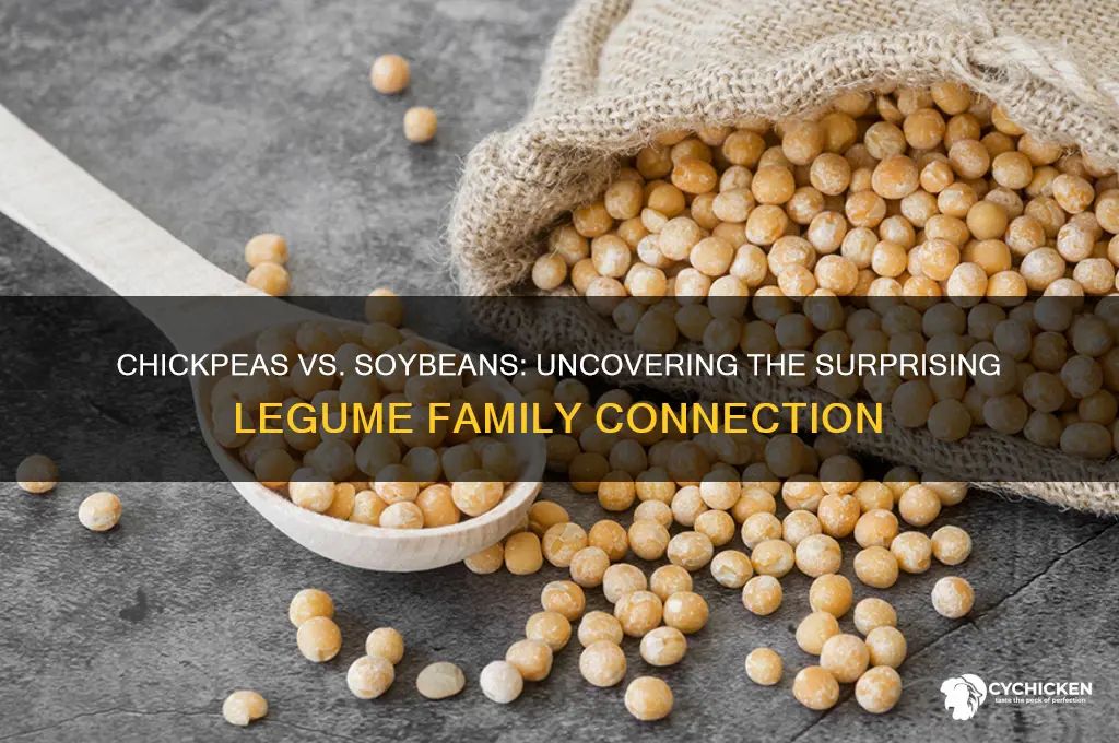 how are chick peas and soybeans related