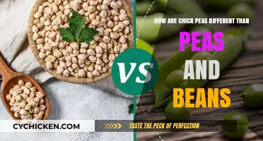 Chickpeas: Peas and Beans Differences Explained
