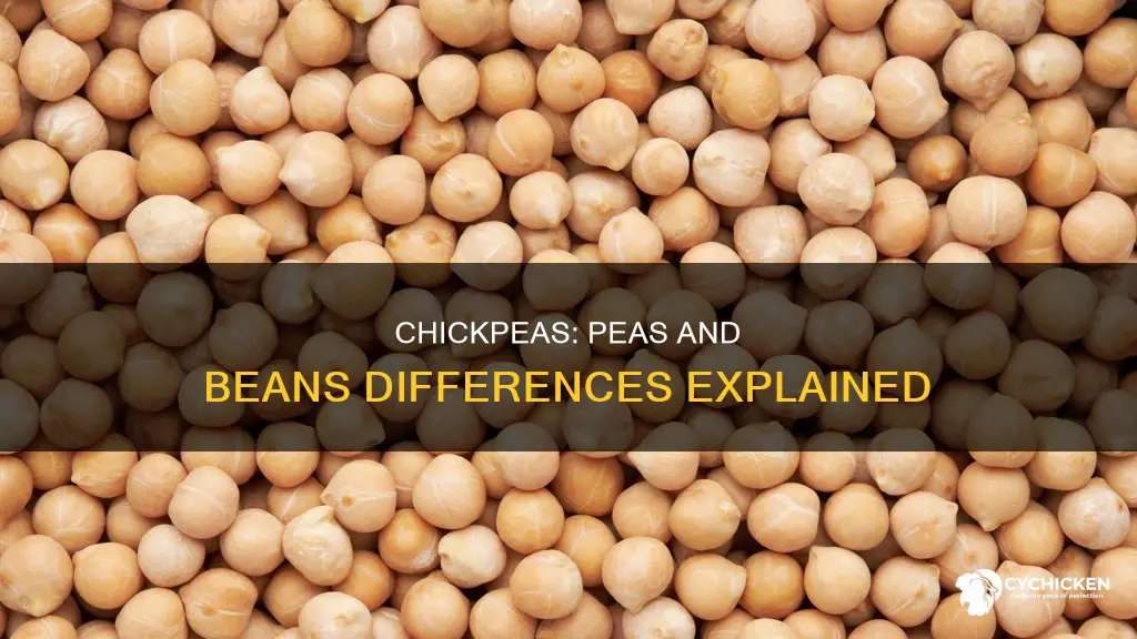 how are chick peas different than peas and beans