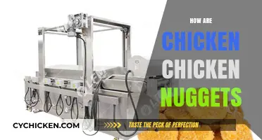How Are Chicken Nuggets Made: From Farm to Freezer