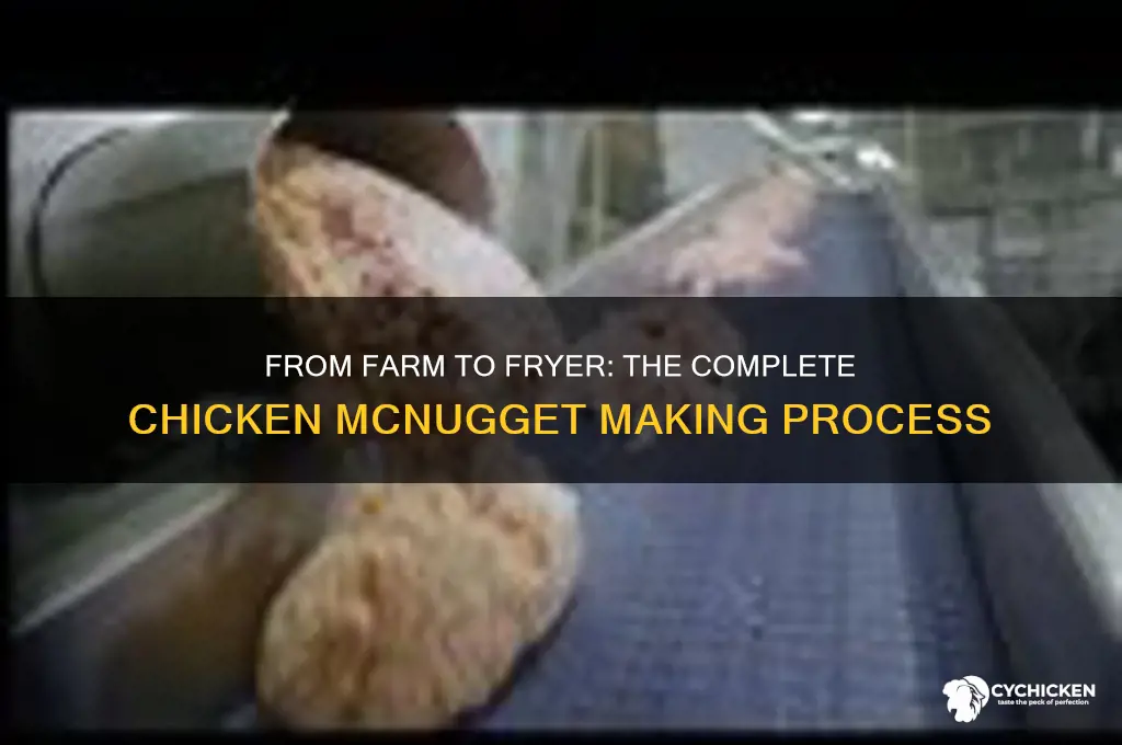 how are chicken mcnuggets made all process