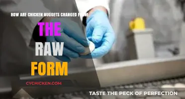 From Farm to Freezer: The Transformation of Chicken Nuggets