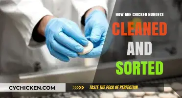 From Farm to Freezer: The Cleaning and Sorting of Chicken Nuggets