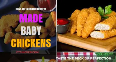 From Hatchling to Nugget: The Truth About Chicken Nugget Production