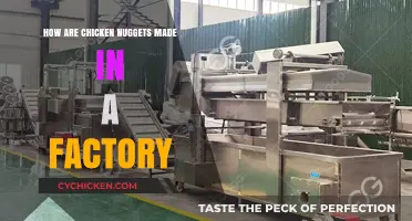 From Farm to Freezer: The Factory Process of Making Chicken Nuggets