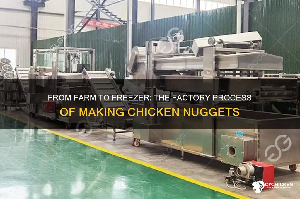 how are chicken nuggets made in a factory