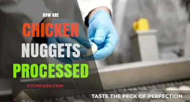 From Farm to Freezer: The Surprising Journey of Chicken Nuggets