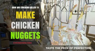 From Farm to Freezer: The Process of Making Chicken Nuggets