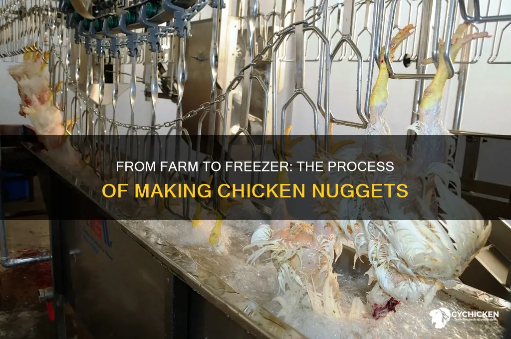 how are chickens killed to make chicken nuggets