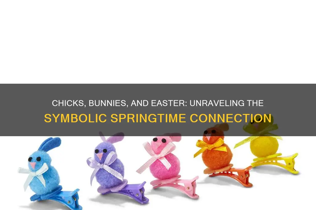 how are chicks and bunnys related to easter