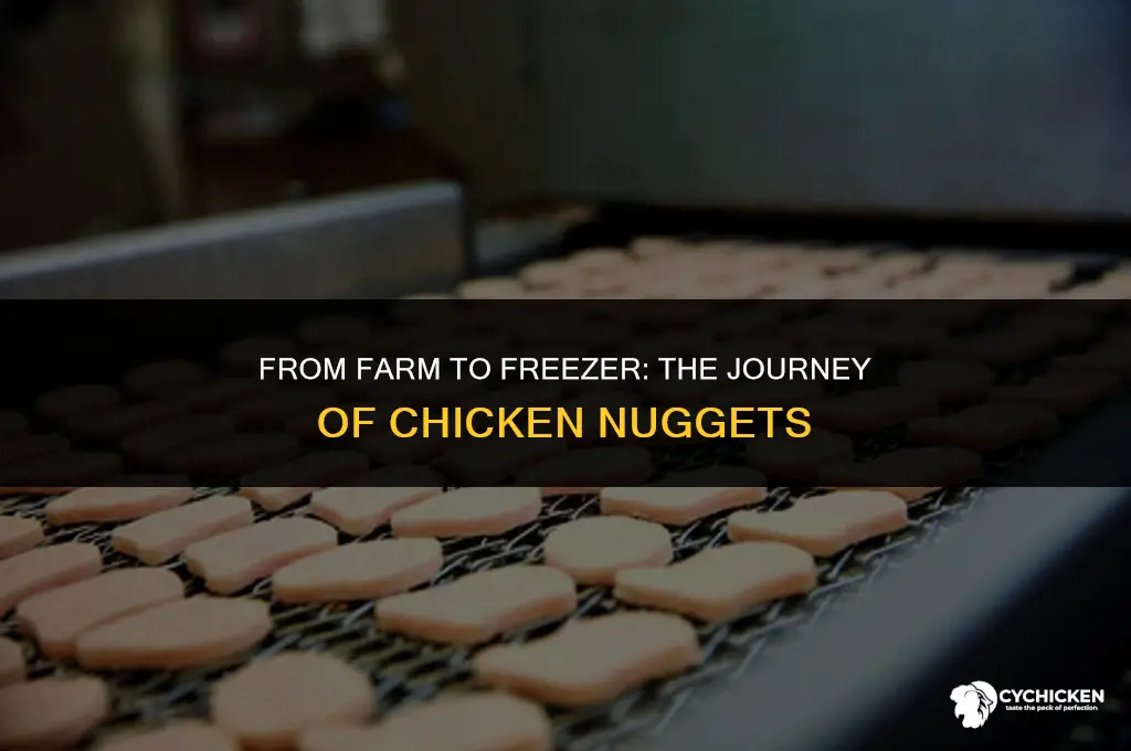 how are frozen chicken nuggets made