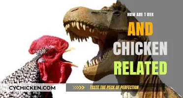 T. Rex and Chickens: Unraveling the Surprising Dinosaur-Bird Connection