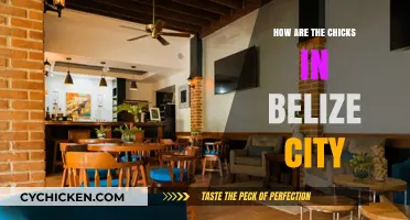 Exploring Belize City's Chick Population: Insights and Observations