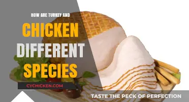 Turkey vs. Chicken: Uncovering the Unique Traits of Two Distinct Species