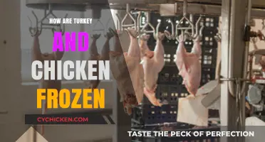 From Farm to Freezer: The Journey of Turkey and Chicken