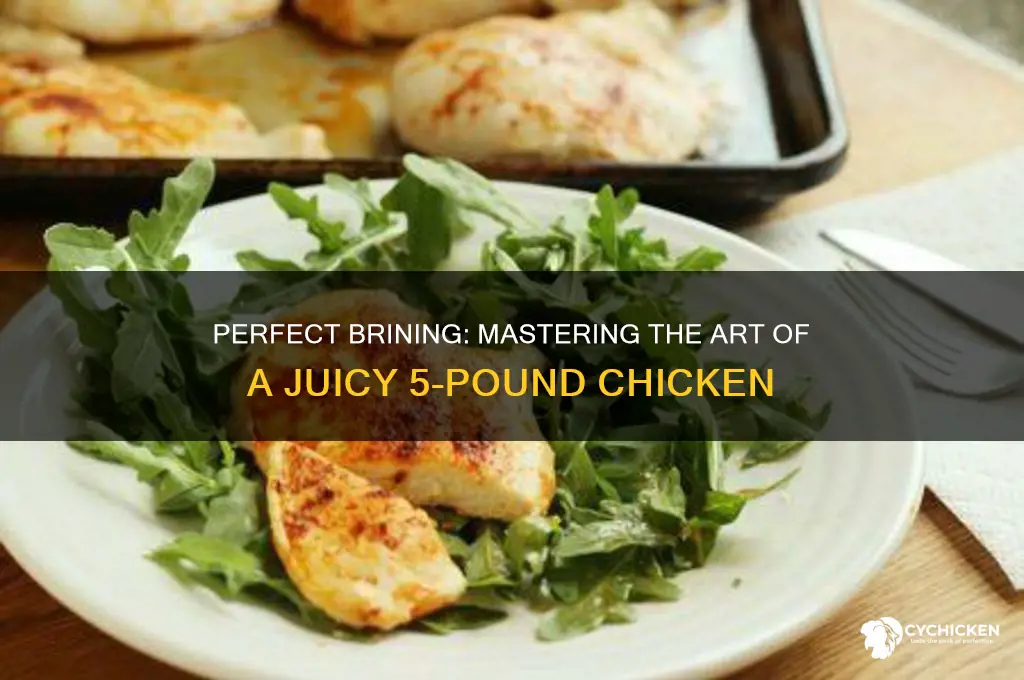 how best to brine a 5 lb chicken