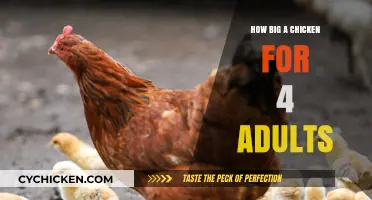 Perfect Chicken Size for 4 Adults: A Complete Serving Guide