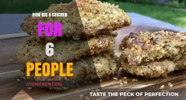 Perfect Chicken Size: Serving 6 People with Ease and Precision