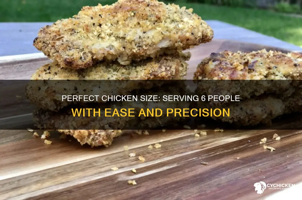 how big a chicken for 6 people