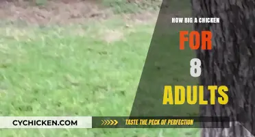 Perfect Chicken Size for 8 Adults: A Complete Serving Guide