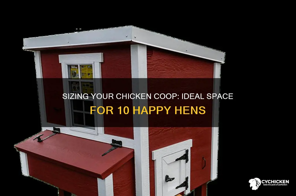 how big a chicken house for 10 chickens