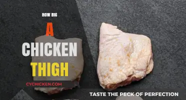 Understanding the Size and Weight of a Chicken Thigh