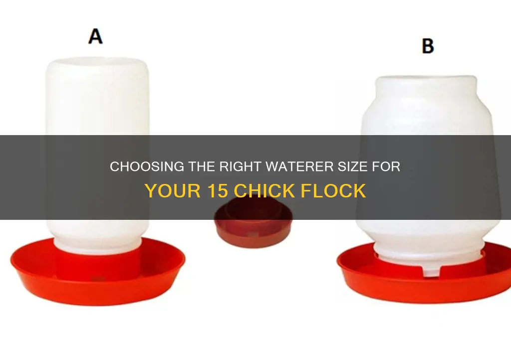 how big a waterer needed for 15 chicks